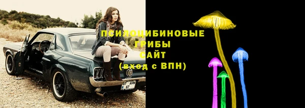 мдпв Липки