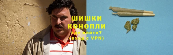 мдпв Липки