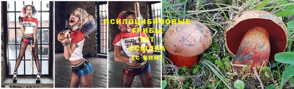 трава Лихославль