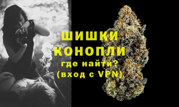 мдпв Липки