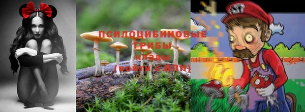 мдпв Липки