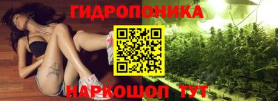 гашик Краснознаменск