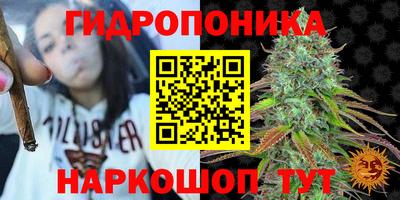 Альфа ПВП Абакан