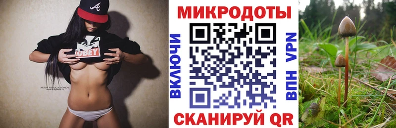 продажа наркотиков  Семилуки  Псилоцибиновые грибы Cubensis 