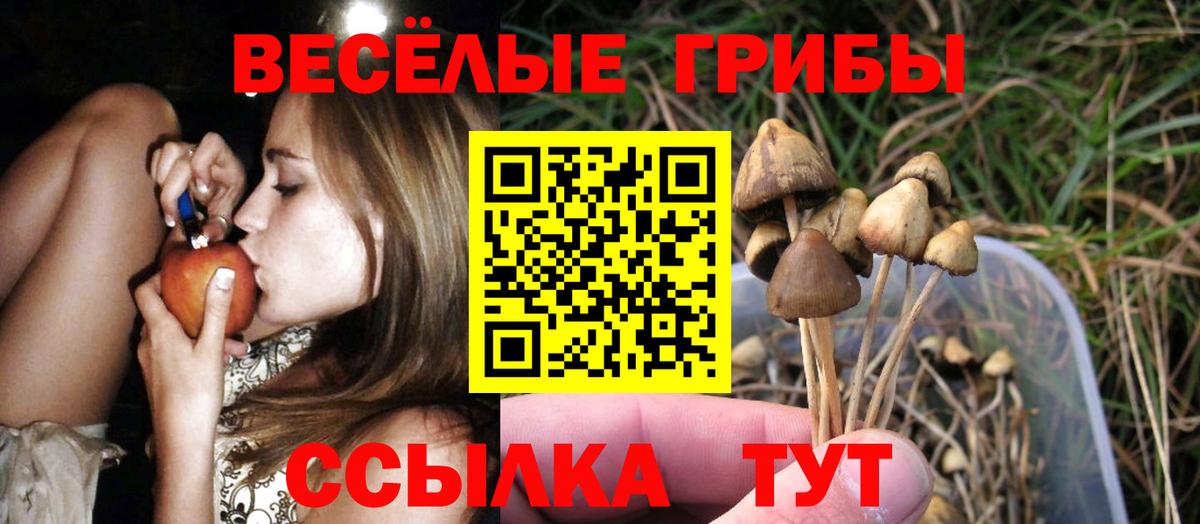 Псилоцибиновые грибы мухоморы  Вход с VPN  Семилуки  Псилоцибиновые грибы Magic Shrooms 