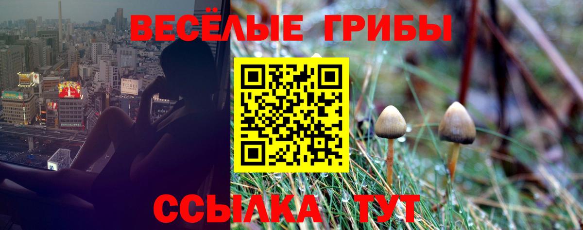 Семилуки  Галлюциногенные грибы Cubensis  Вход с VPN 