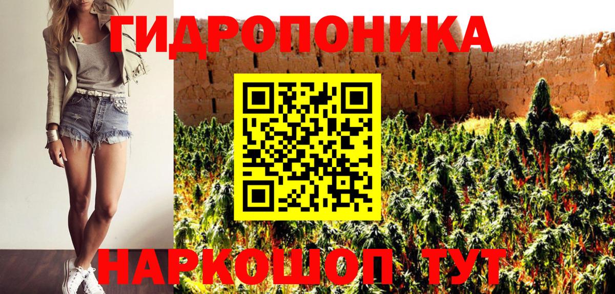 Каннабис индика Семилуки